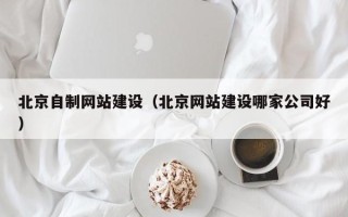 庆阳北京自制网站建设（北京网站建设哪家公司好）