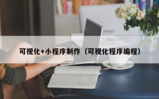 庆阳可视化+小程序制作（可视化程序编程）