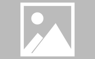 庆阳关于网站建设免费（关于网站建设免费的通知）